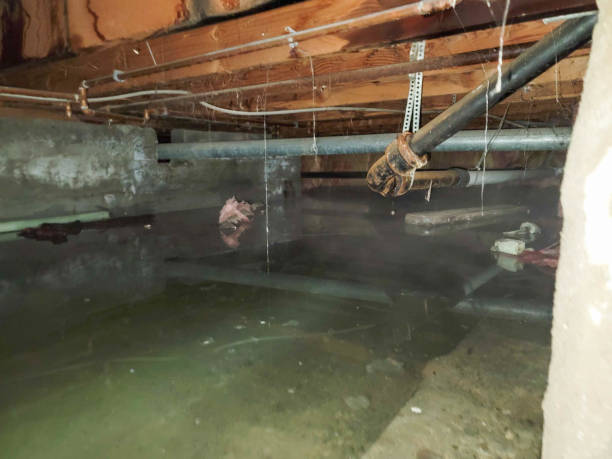 Best Fire Damage Restoration  in Broadview Heights, OH
