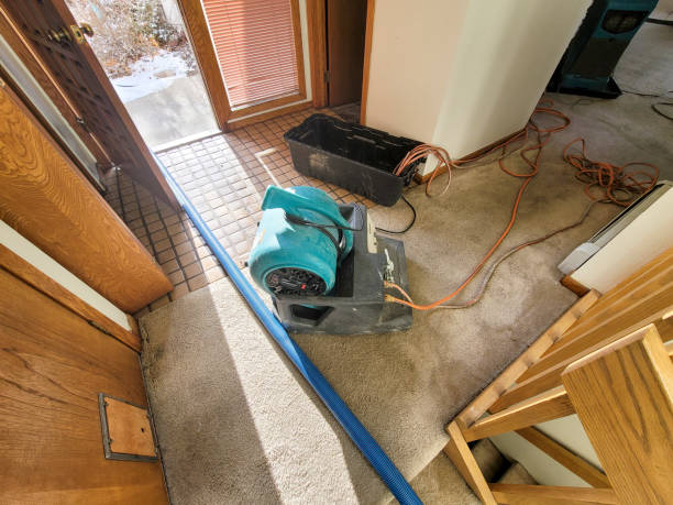 Best 24/7 water damage repair  in Broadview Heights, OH