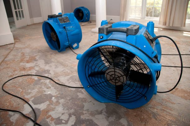 Best Local water damage restoration  in Broadview Heights, OH