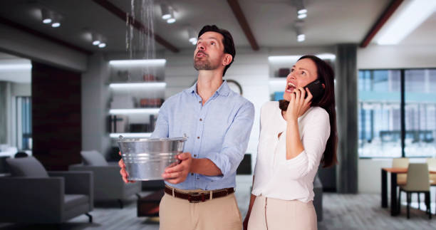 Best Sewage cleanup and water damage restoration  in Broadview Heights, OH